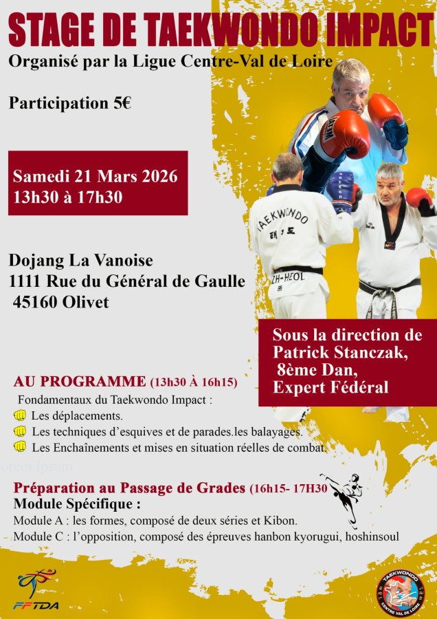 Stage taekwondo impact - 21 mars - Patrick STANCZAK